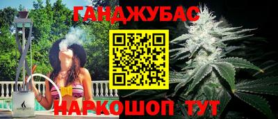 прущие крисы Сланцы