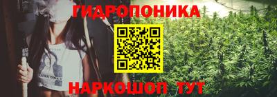 прущие крисы Сланцы