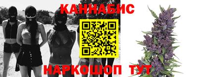 прущие крисы Сланцы