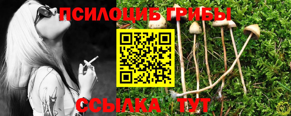 Юрга  Галлюциногенные грибы Psilocybe  Псилоцибиновые грибы ЛСД  Вход с VPN 